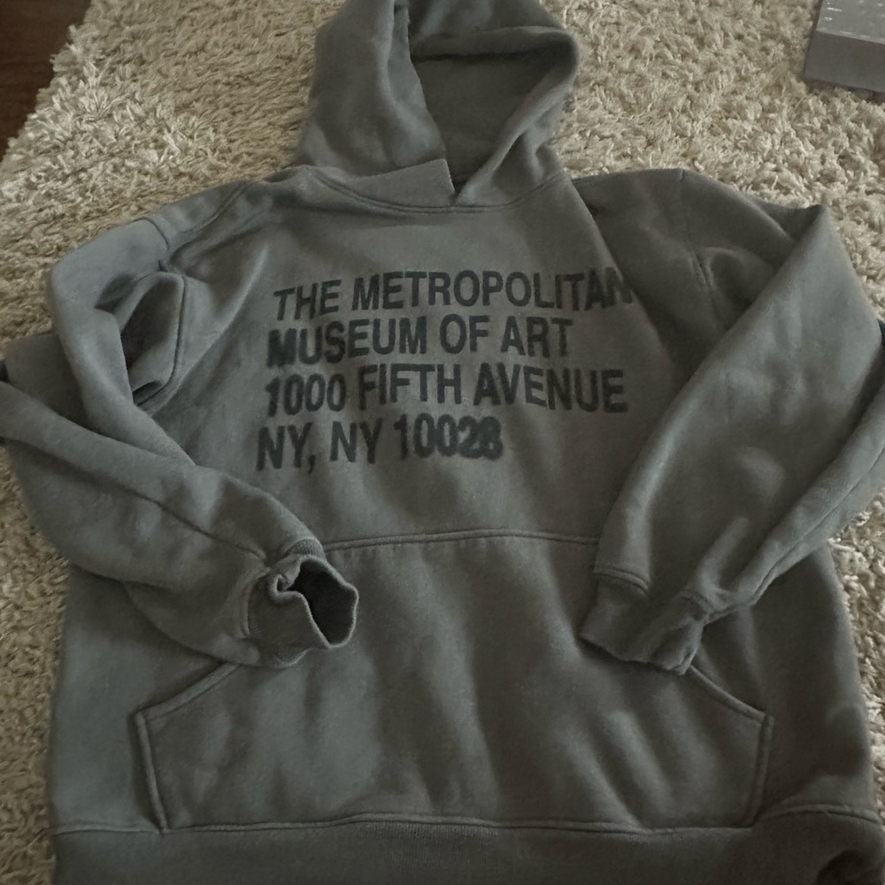PacSun Gray Sweater Metropolitan Museum Art